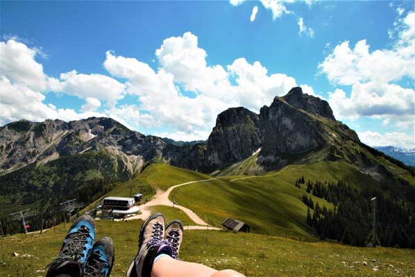 Imagen sin descripción, 1 de 47, botón