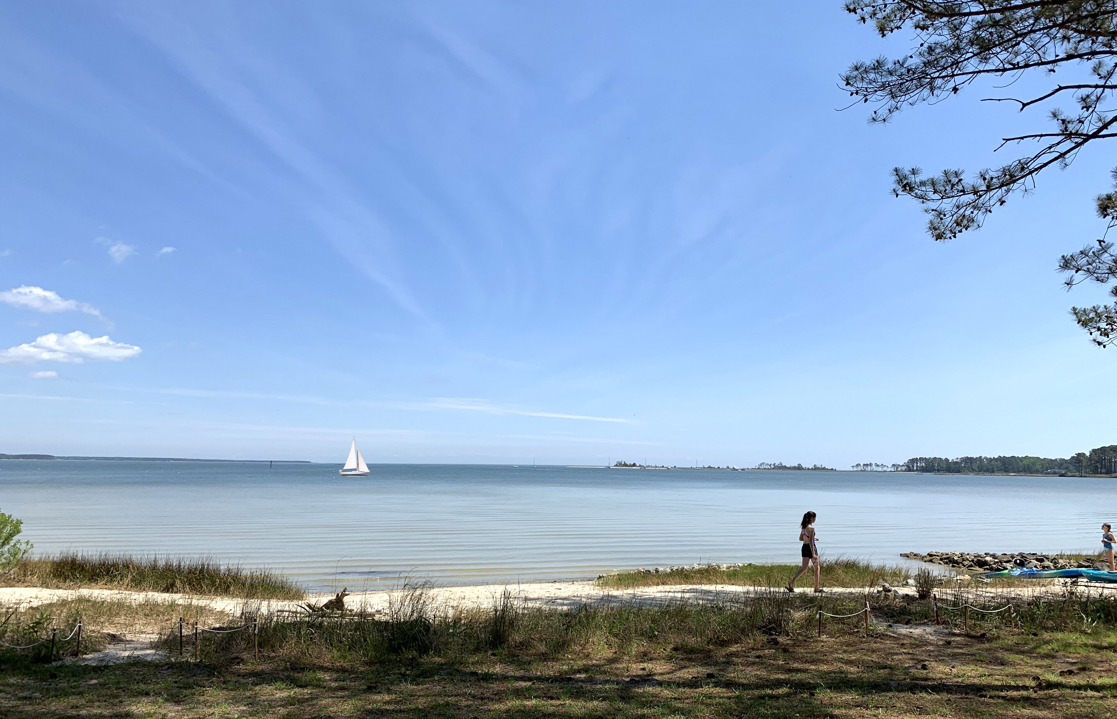 Waterfront, Private Beach, Mid Century Style