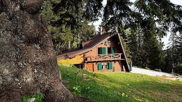 Design-Chalet (Alpinka 1) | Außenbereich