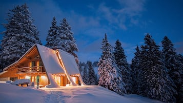 Chalet Design (Alpinka 1) | Literie de qualité supérieure, minibar, décoration personnalisée