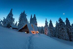 Exterior - Chalet Alpinka (Cerklje na Gorenjskem)