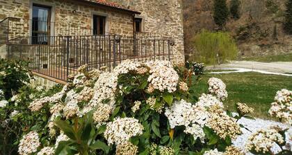 Agriturismo Borgo Macereto