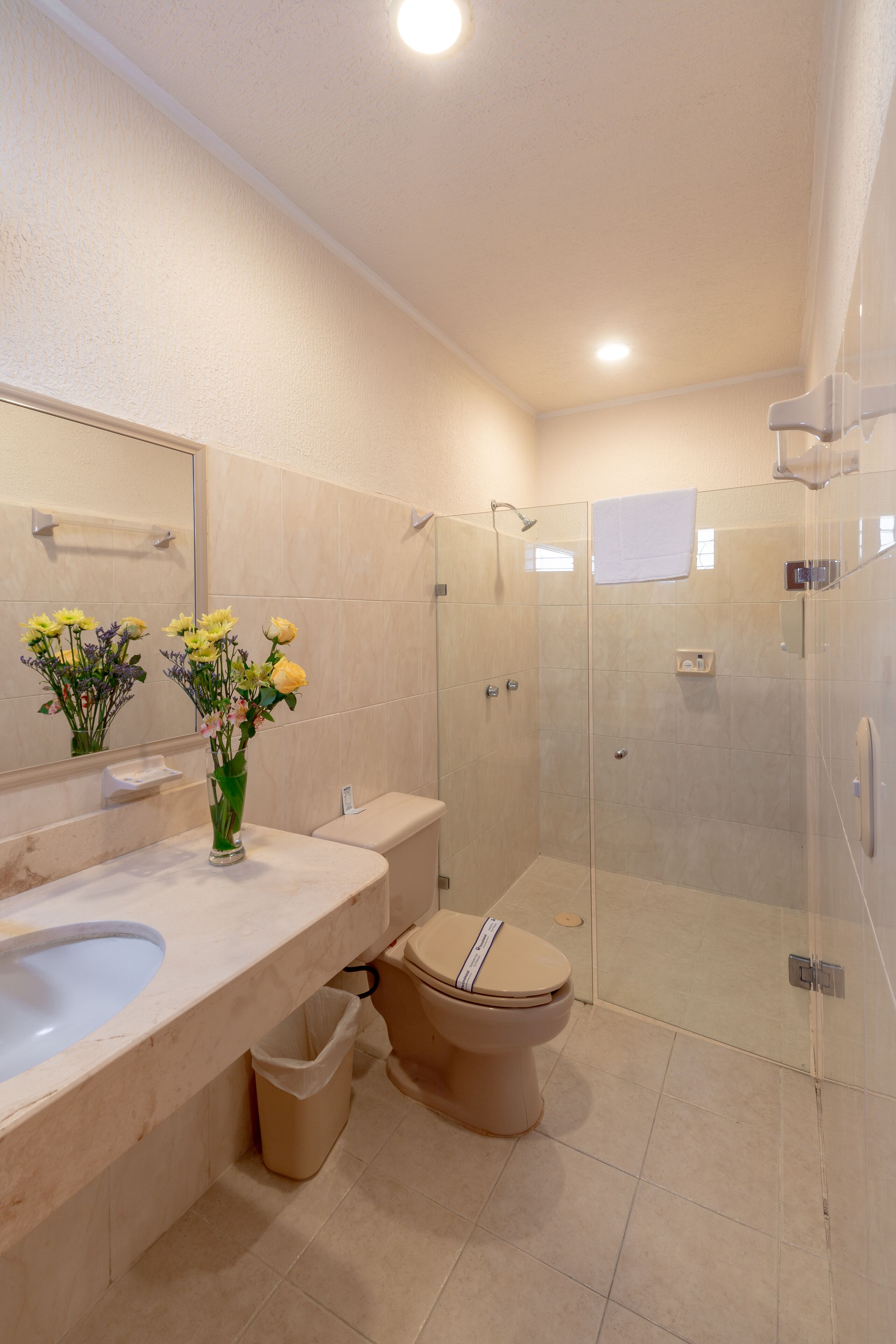 shower, rainfall showerhead, towels, soap