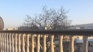 頂級雙人房 | 陽台景觀