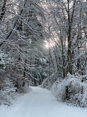 Snow and ski sports - Guests have access to 200 ft of private beach & sand dunes on Lake Michigan. (Sawyer)