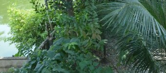 Vierasmaja Chandannagarissa