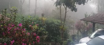  Beautiful house in Alto Penedo