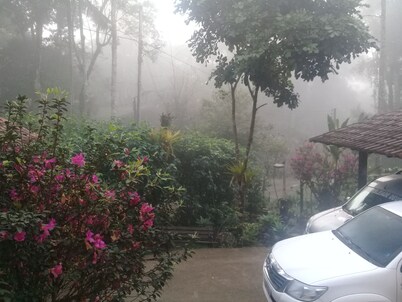  Beautiful house in Alto Penedo