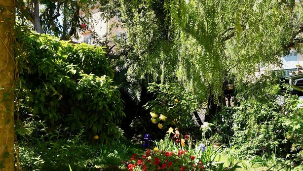 Un jardin avec une table en bois et un chien.
