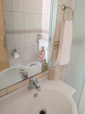Regadera, secadora de cabello, toallas, papel de baño 