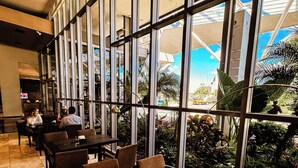 Un restaurante con amplios ventanales, plantas de interior y suelo de baldosas.