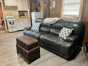 TV, fireplace, DVD player, video library