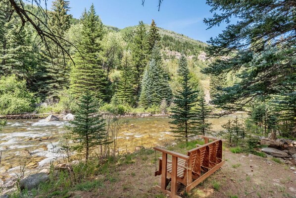 Un banco de madera con vista a un arroyo cristalino, rodeado de un bosque frondoso y montañas.