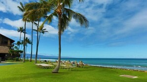 A well-maintained lawn with a few palm trees, a pool, and lounge chairs facing the ocean. - Papakea Paradise, G102, 2 Bedroom & 2 Bathroom, Ground Level, Air Con, Specials! (Lahaina)