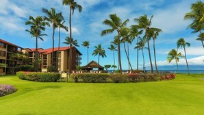 A resort with multiple buildings, a well-maintained lawn, and tall palm trees. - Papakea Paradise, G102, 2 Bedroom & 2 Bathroom, Ground Level, Air Con, Specials! (Lahaina)