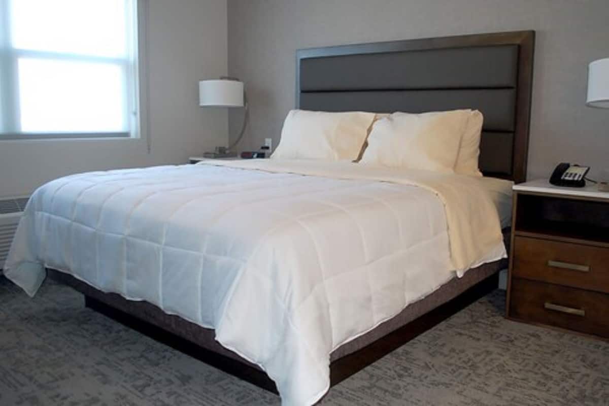 A neatly made bed with a white comforter and pillows, a bedside table with a lamp, and a telephone.