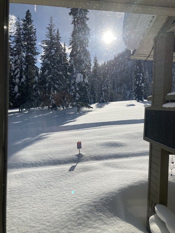 A snow-covered landscape with a signpost in the foreground, surrounded by tall evergreen trees. - 2 Bdrm Condo w/Golf Course view, 5 min. to Lake Wenatchee, Leavenworth, XC ski (Leavenworth)