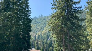 Une rue résidentielle bordée de grands arbres à feuilles persistantes, un ciel bleu dégagé et une vue lointaine sur un paysage vallonné.