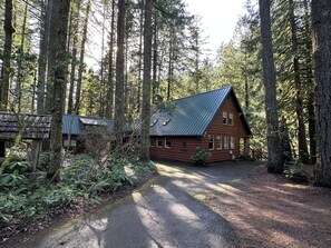A cabin with a metal roof, surrounded by tall trees and a gravel driveway. - Escape to Magical "Minikahda Lodge" on Clear Creek in Rhododendron (Rhododendron)