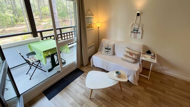 Living area - 132 - Apartment 5 minutes from the ocean (MAUBUISSON)