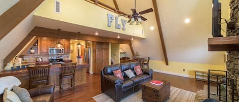 Télévision, cheminée, jeux vidéo, livres