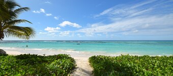 Indramer No.2 - Nautilus by RedAwning