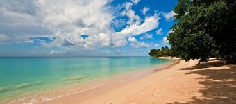 Jessamine by Blue Sky Luxury