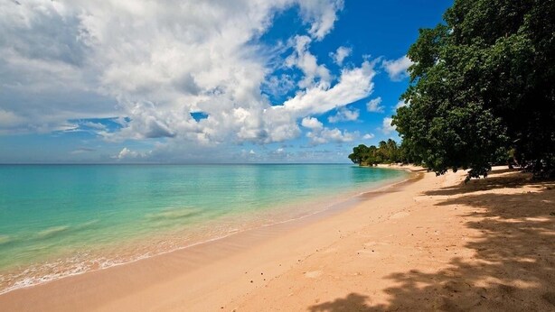 A beach with clear turquoise water, a sandy shore, and a line of trees. - Jessamine by Blue Sky Luxury (Gibbes)