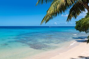 A beach with clear turquoise water, a sandy shore, and a palm tree. - Westshore Beach House by Blue Sky Luxury (Holetown)