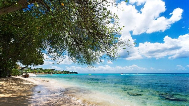 A beach with clear turquoise water, a sandy shore, and a tree providing shade. - Waterside 402 by Blue Sky Luxury (Paynes Bay)