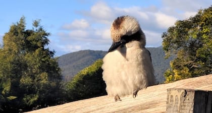 Kookaburra Cottage Mountain Views