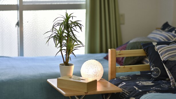 A neatly arranged bedroom with a bed, a bedside table with a lamp, a potted plant, and a window with curtains. - Ohma 22t1 (Osaka)