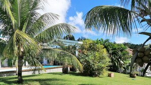 Un jardin bien entretenu, agrémenté de palmiers, d’une piscine et de diverses autres plantes.