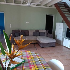 TV, video games, books - Villa with pool (Sainte Luce)