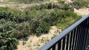 A beach with a wooden fence and dense vegetation in the foreground. - Bimini 205 - Direct Oceanfront 87th St, WiFi, W/D, AC (Ocean City)