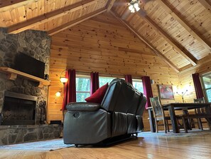 Télévision, cheminée, lecteur de DVD