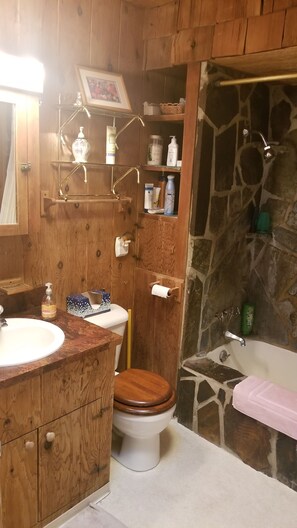 Bathtub, towels, soap, shampoo - House with lake view, biking, boating, hiking, fishing paradise (Harrison)