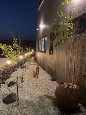 A nighttime outdoor area with a gravel path, potted plants, and a dog walking away from the camera.