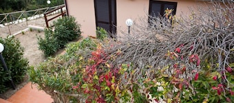APP.TI NORSI - NORSI - MONO