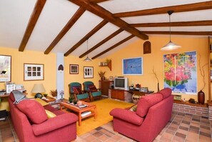 TV, fireplace, DVD player