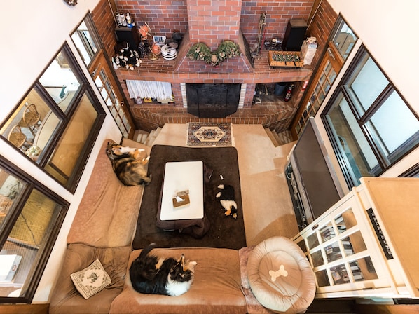 A high-ceilinged living room with a fireplace, a sofa, a coffee table, and a dog bed.