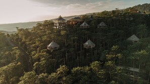 A forested area with multiple treehouses and a pathway. - Munduk Heaven (Munduk)
