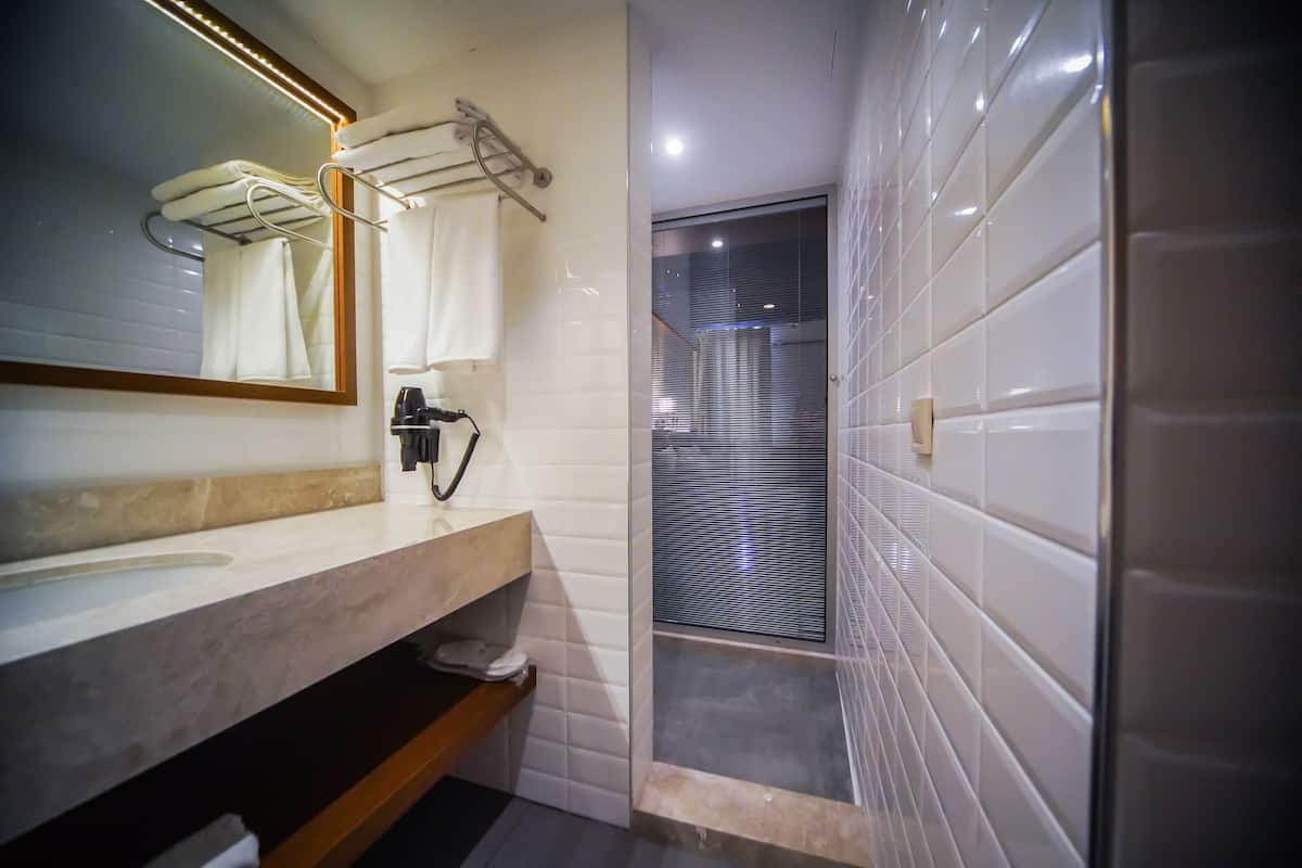 shower, free toiletries, hair dryer, slippers