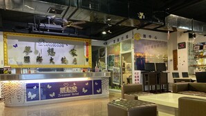A hotel reception area with a counter, seating, and a display of butterfly decorations. - Dreamer Hotel (Budai)