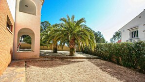 A courtyard with a palm tree, a brick wall, and a white building with a window.