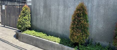 A concrete wall with a sign reading "MAIDHOUSE" and a wooden fence.