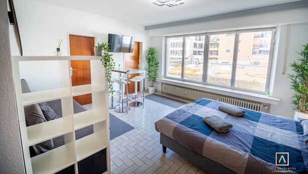 City Studio | Desk, laptop workspace, iron/ironing board, free WiFi - Charming Studio - City Center W Smart TV (Luxembourg City)