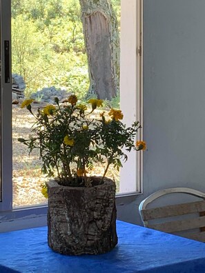 Interior detail - Abou-Hachem (Tazroute)
