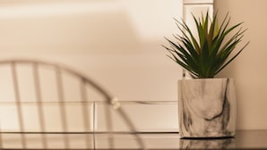 A potted plant in a marble pot on a table. - Akebono 5-C (Naha)