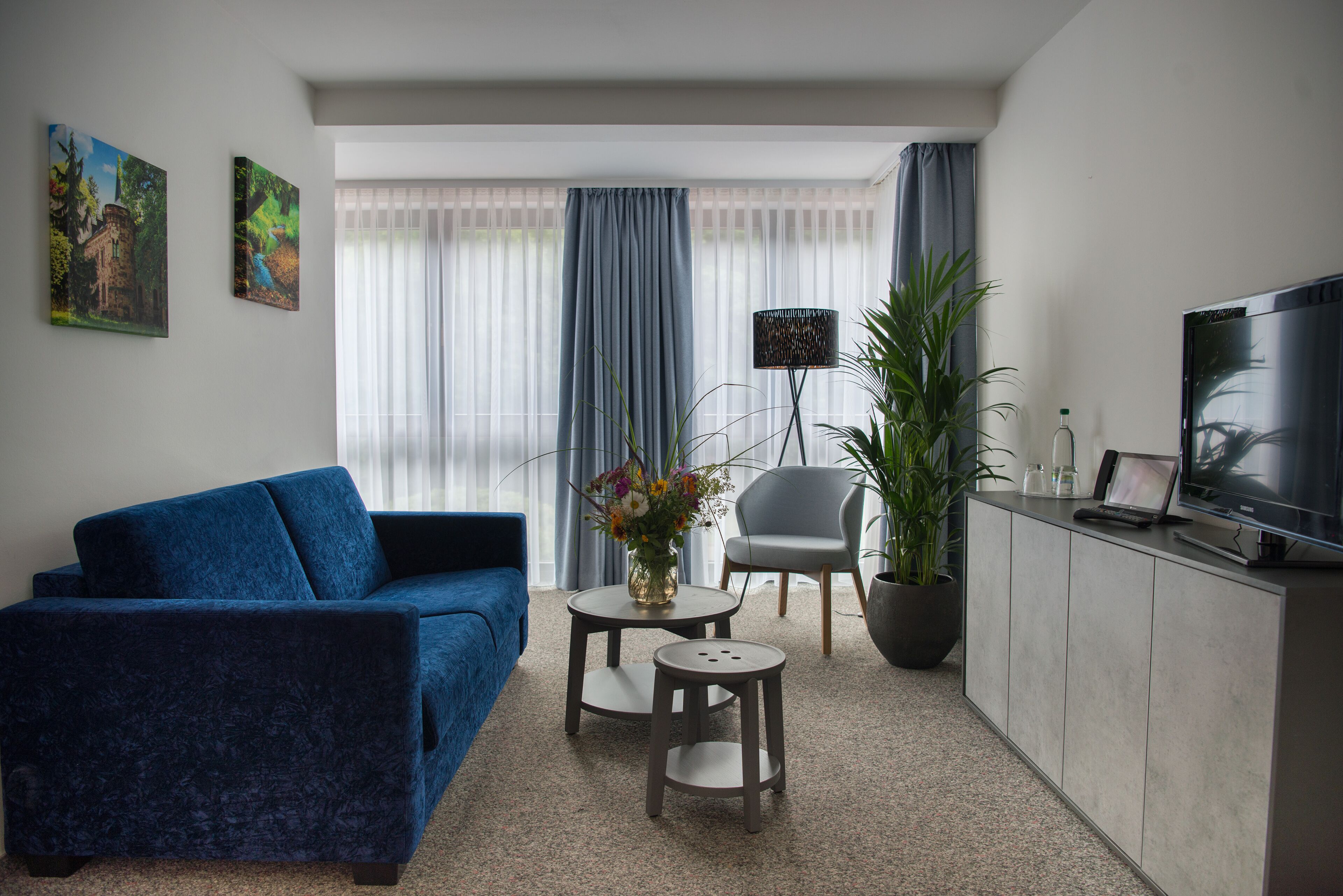 A modern living room with a blue sofa, a small coffee table, a grey armchair, a TV, and a potted plant.